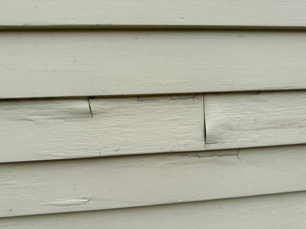 Professional Siding Services in Three Lakes, WA